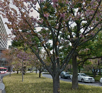 練馬区谷原3丁目楽器可（ピアノ・弦管楽器・声楽）マンション その他