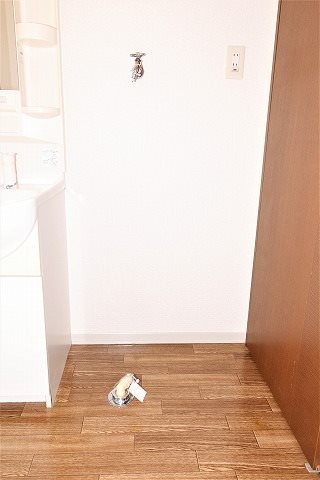 シャイニヒル B その他