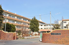 山崎コーポⅢ 周辺画像5