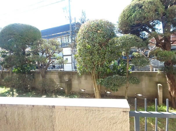 コーポ石井 その他8