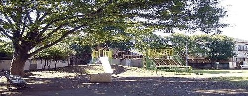 キングハウス桜上水 周辺画像6