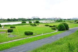 アリビオ府中南町　(ヴィラナガセ) 周辺画像6