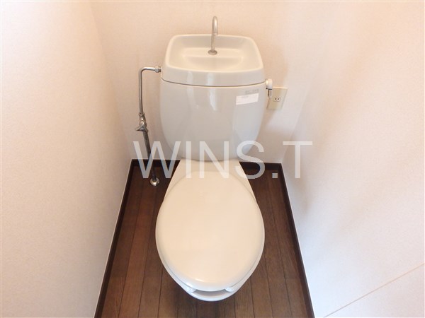 ヤヨイユー　 その他2