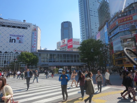ﾊﾟｰｸ・ﾉｳﾞｧ渋谷 周辺画像4