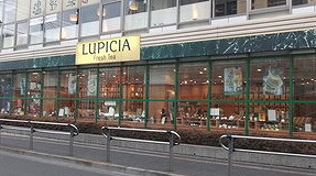 調布市若葉町1丁目楽器可(弦楽器)マンション その他