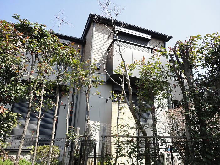 パストラーレ その他3