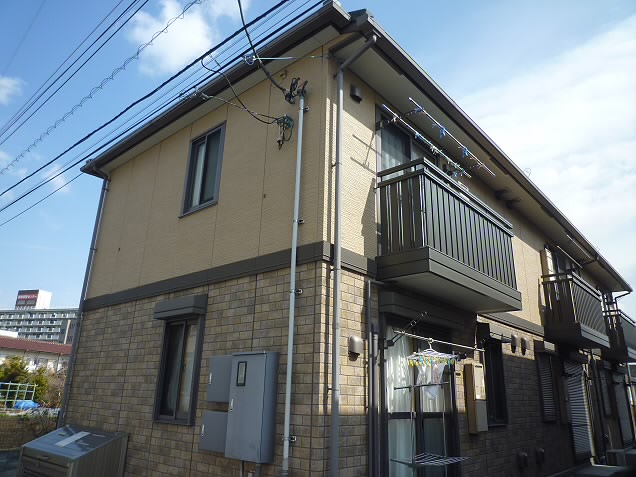 その他7