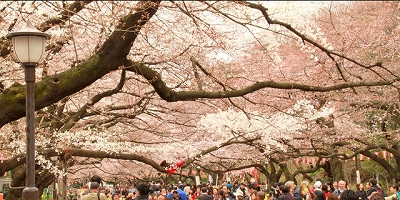 台東区上野桜木1丁目楽器可（ピアノ・弦楽器）デザイナーズマンション その他
