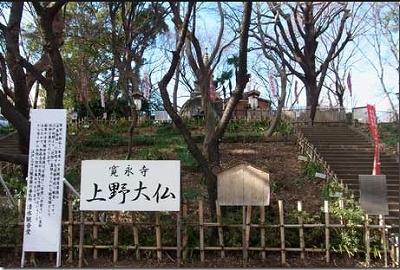 台東区上野桜木1丁目楽器可（ピアノ・弦楽器）デザイナーズマンション その他