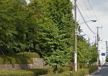 北区西ケ原2丁目楽器可(防音・ピアノ・弦・管楽器・声楽)マンション その他