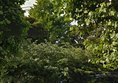 北区西ケ原2丁目楽器可(防音・ピアノ・弦・管楽器・声楽)マンション その他