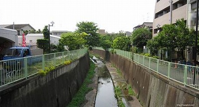 杉並区久我山5丁目楽器可(グランドピアノ・弦楽器)マンション その他