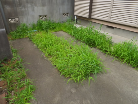 牟礼戸建 その他6