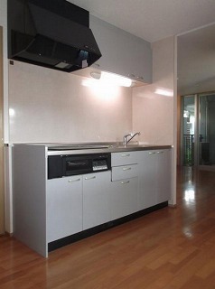 相模原市南区上鶴間本町4丁目楽器可（ピアノ）マンション キッチン