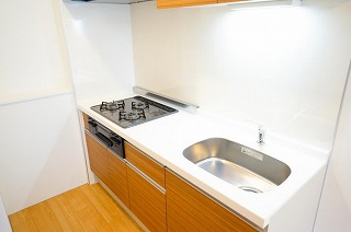 世田谷区奥沢2丁目楽器可（防音・ピアノ・弦・管楽器・声楽）マンション キッチン