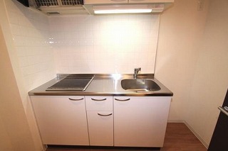 川崎市多摩区堰3丁目楽器可（グランドピアノ・弦管楽器・声楽・DTM）マンション キッチン