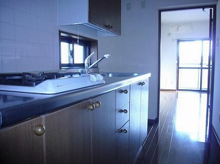 所沢市西住吉楽器可(防音・ピアノ・弦管楽器・声楽)マンション キッチン