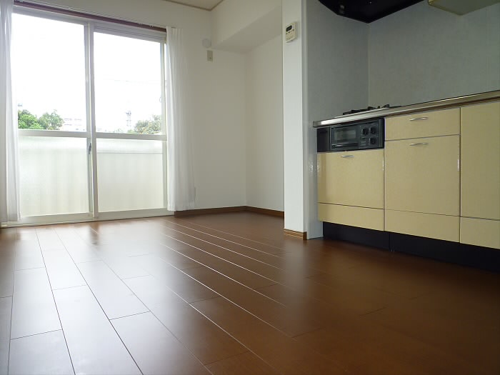 ハウス池亀11号館 リビング