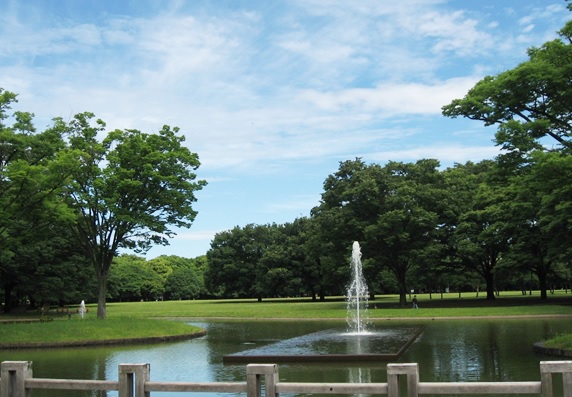 藤和ハイタウン新宿 周辺画像3