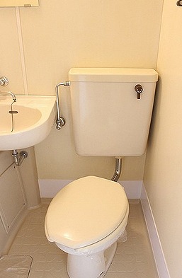 葛飾区亀有2丁目楽器可(防音・グランドピアノ・弦・管楽器・声楽)マンション その他