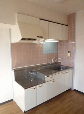 朝霞市溝沼3丁目楽器可(グランドピアノ・弦・管・打楽器・声楽)マンション キッチン