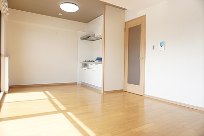 レピナールリサ その他1