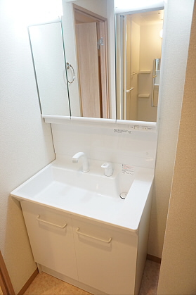 レピナールリサ その他3