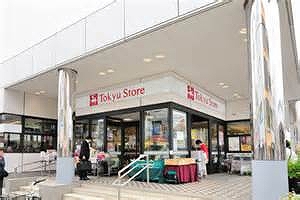 東急ストア 洗足駅前店 アマヴェル洗足 周辺画像3