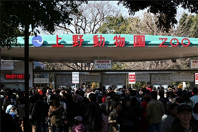 台東区池之端4丁目楽器可(防音・ピアノ・弦・管楽器・声楽)マンション その他