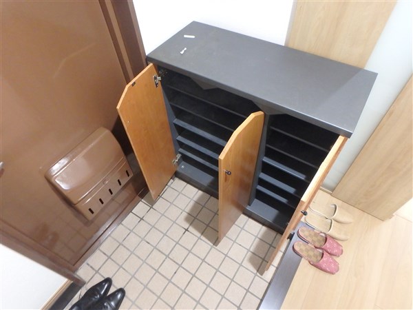 テラスレジデンス西つつじヶ丘(ワコーレつつじ) 玄関