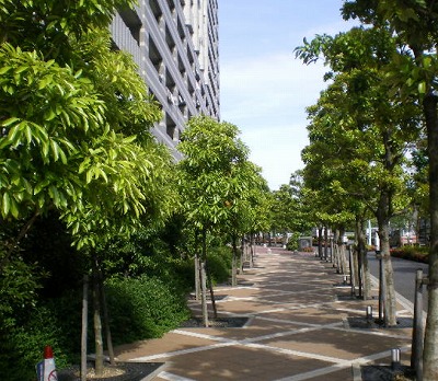 江東区東陽1丁目楽器可(防音・弦・管楽器)マンション その他
