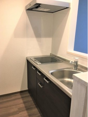 立川市柏町4丁目楽器可（防音・グランドピアノ・弦・木管楽器・声楽）女性限定マンション キッチン
