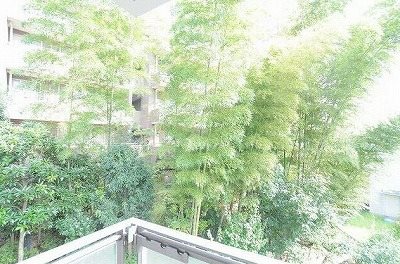 川崎市高津区下作延7丁目楽器可(ピアノ・弦楽器)マンション ベランダ