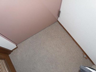 大田区上池台3丁目楽器可(ピアノ・弦・管打楽器・声楽)マンション 玄関