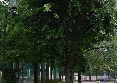 大田区上池台3丁目楽器可(ピアノ・弦・管打楽器・声楽)マンション その他