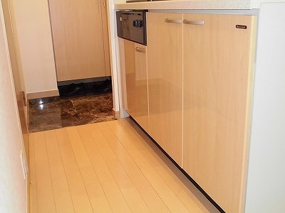 杉並区高円寺南1丁目楽器可（電子ピアノ・弦楽器）デザイナーズ分譲マンション 玄関