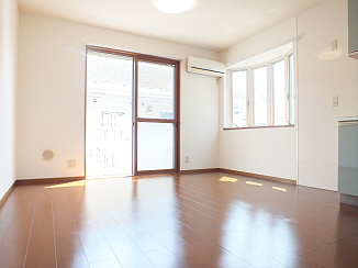 ハウス池亀10号館 リビング