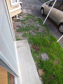 光和メゾン ベランダ