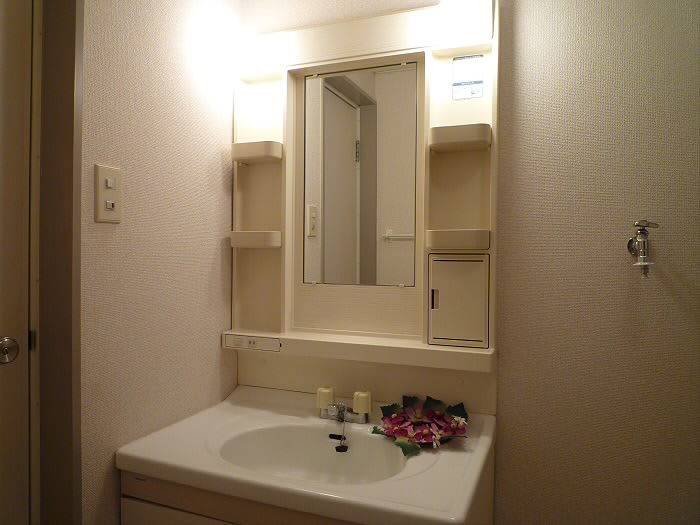 ドミールシャルマン その他1