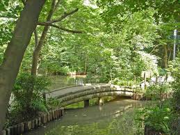 ハイツハセガワ【東京外国語大学受験生事前予約可能物件】 周辺画像6