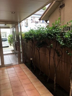 目黒区中町1丁目楽器可(防音・グランドピアノ・弦楽器・声楽)マンション エントランス