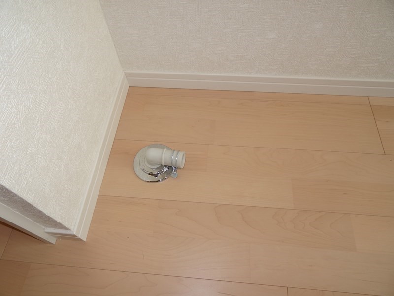 フェリスプリマ その他