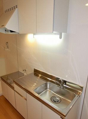豊島区南長崎5丁目楽器可(防音・グランドピアノ・弦楽器・声楽)アパート キッチン