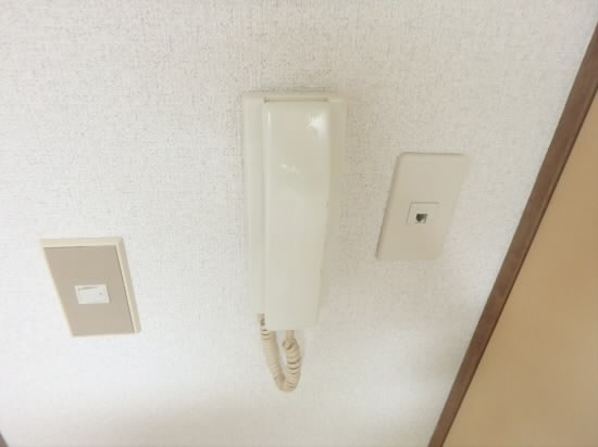 トマト その他1