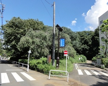 新宿区早稲田鶴巻町楽器可(防音・グランドピアノ・弦・管楽器・声楽)マンション その他