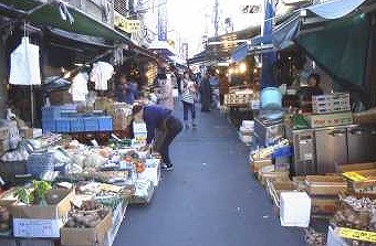 中央区築地3丁目楽器可（アップライトピアノ・弦楽器）マンション その他