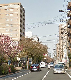 練馬区桜台1丁目楽器可（防音・グランドピアノ・弦・管楽器・声楽）女性専用マンション ベランダ
