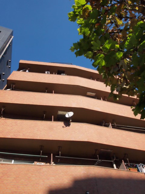 益谷ハイツ 204号室 外観