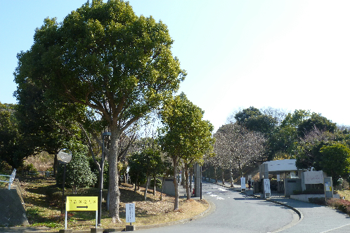 アルカディアハイツ 周辺画像5