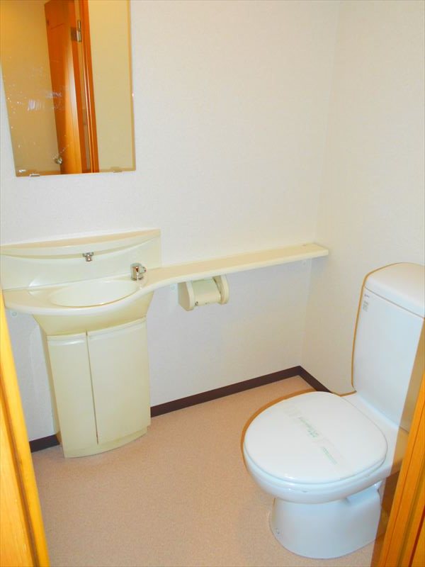 フェスシントミ その他1